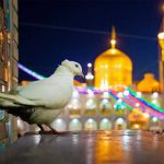 اقامت ارزان در مشهد: از سوئیت تا هتل آپارتمان