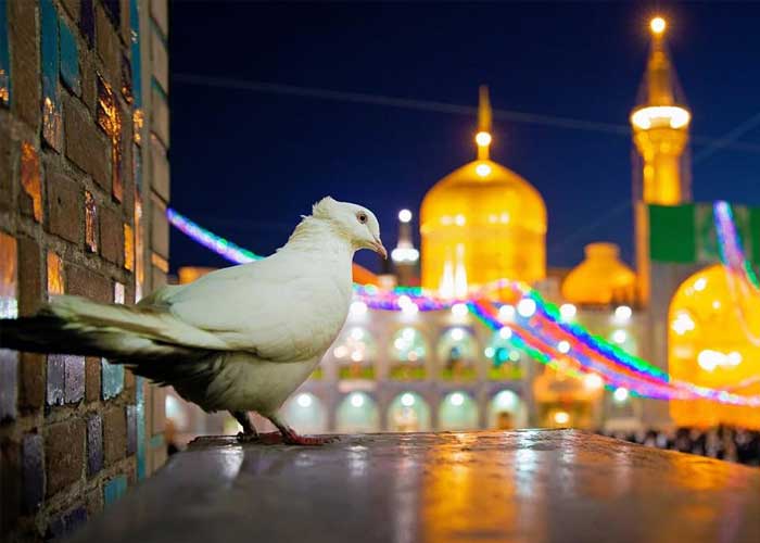 اقامت ارزان در مشهد: از سوئیت تا هتل آپارتمان